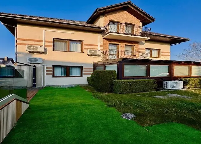 In Mi Dzywodzie Near Baltic Beaches *